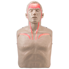Aero Healthcare BRAYDEN Pulse CPR Manikin (With Lights)