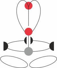 CAMP Access XT Black Full Body Harness