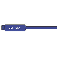 (Pack of 100) 175mm Quarterly Inspection Tags
