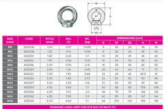 42mm Eye Nut With Collar, DIN582,Metric Threads WLL 7T