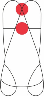 CAMP Focus Light Xt - Full Body Harness