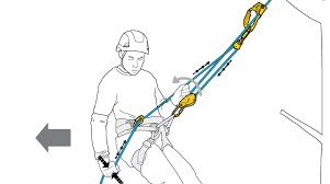 Petzl Rig GOLD Descender (D021AA00)