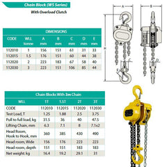 2T x 3M Austlift Chain Block