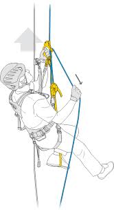 Petzl Rig GOLD Descender (D021AA00)
