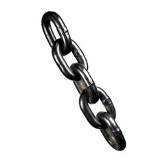 Austlift G80 Chain Drum Electrophoresis (Black)