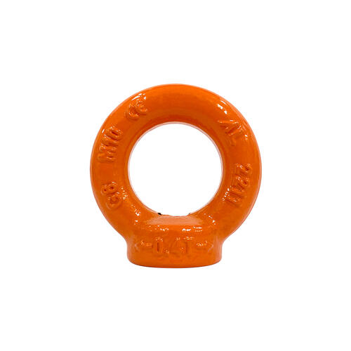 Austlift Eye Nut G80