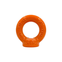 Austlift Eye Nut G80