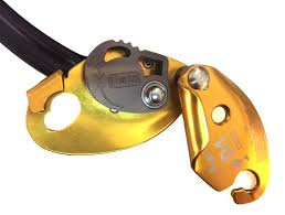 ISC BEAL D4 Descender Gold