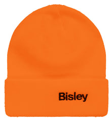 Bisley Beanie Test