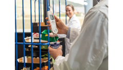 Testo 104-IR BT Infrared/Penetration Thermometer with App Connection