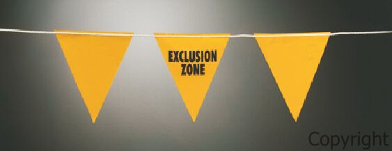 BUNTING - EXCLUSION ZONE - 1 in 5 (M10M1-01)