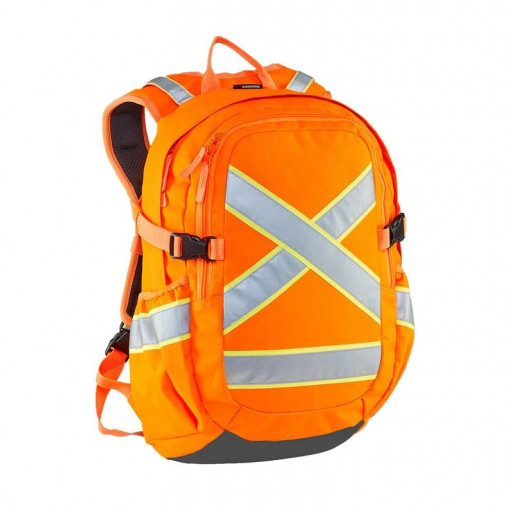 Brahma Caribee 32L Switch Back Safety Backpack (5780).1.JPG