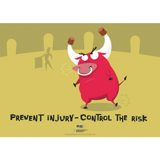 594x420mm - Laminated Safety Poster - Prevent Injury - Control the Risk (SP1027)